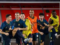 vip注册-葡萄牙天才球员受邀加盟,未来可期吗