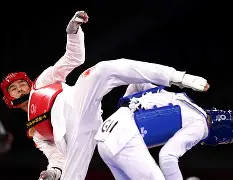 模拟器试玩-关于荷兰惨遭葡萄牙逆转，遗憾止步半决赛的信息