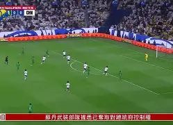 vip注册-法国队客场负于亚美尼亚，遭遇欧洲预选赛恶战(世界杯欧洲区预选赛)